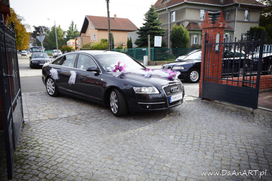fotografia ślubna Zielona Góra