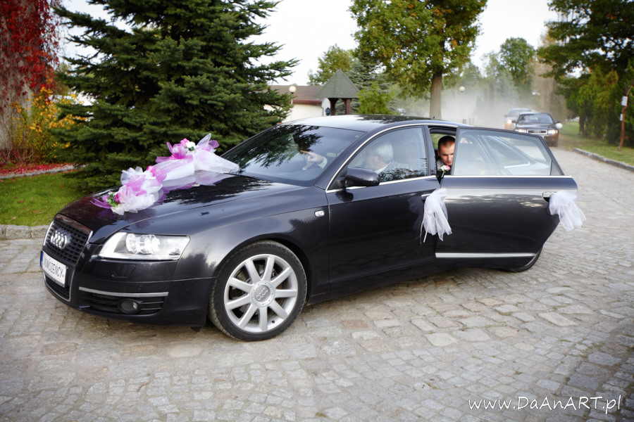 fotografia ślubna Żagań